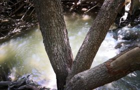 טיול רטוב לחג